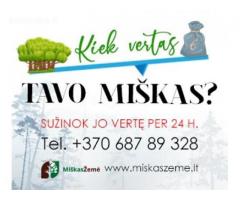 Perkame miškus visoje Lietuvoje